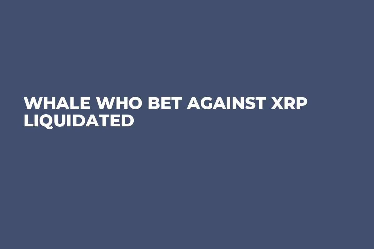 Whale Who Bet Against XRP Liquidated