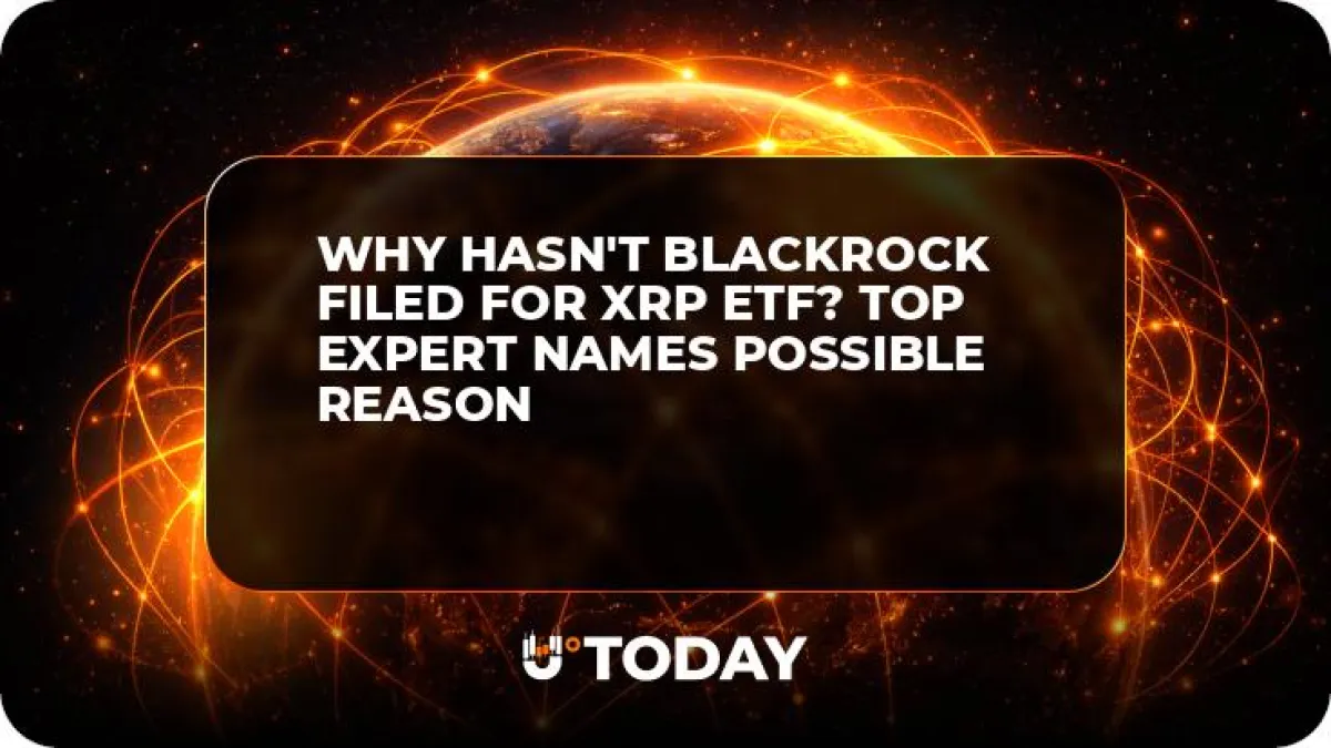 Why Hasn't BlackRock Filed for XRP ETF? Top Expert Names Possible Reason