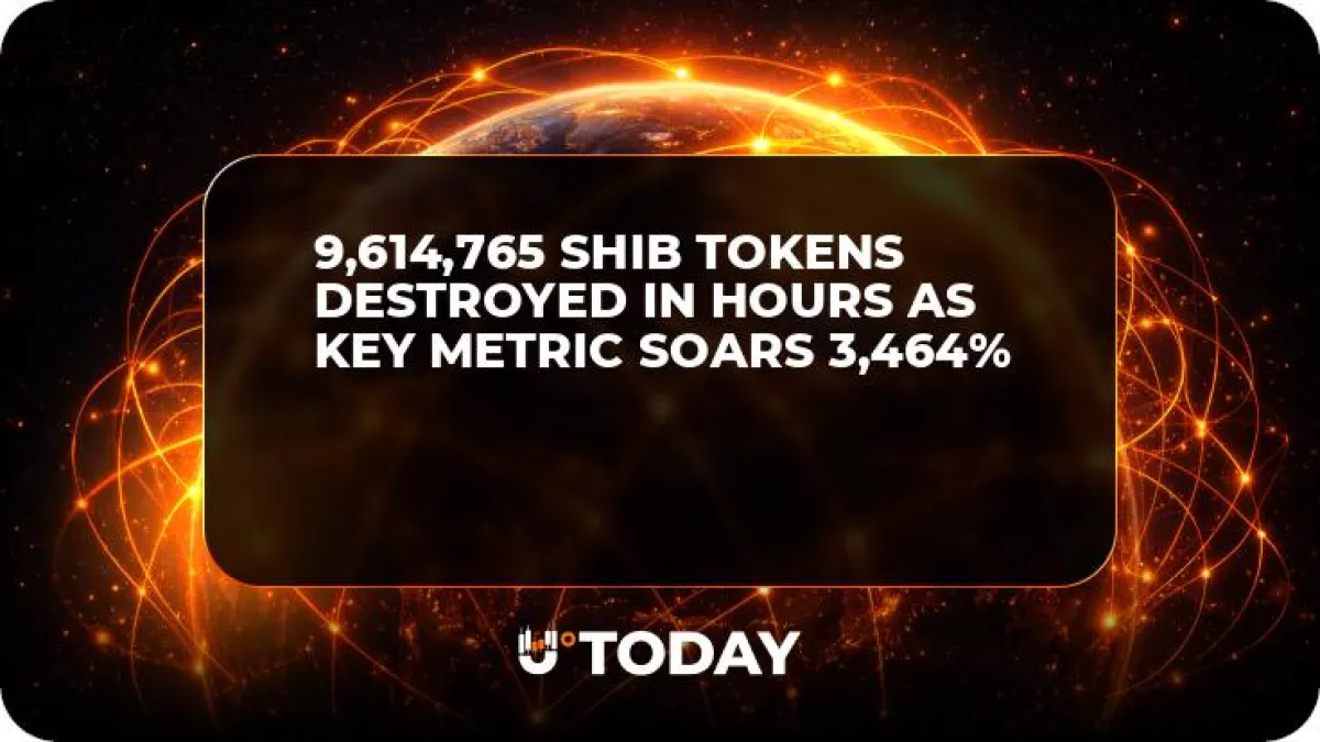 9,614,765 SHIB Tokens Destroyed in Hours as Key Metric Soars 3,464%