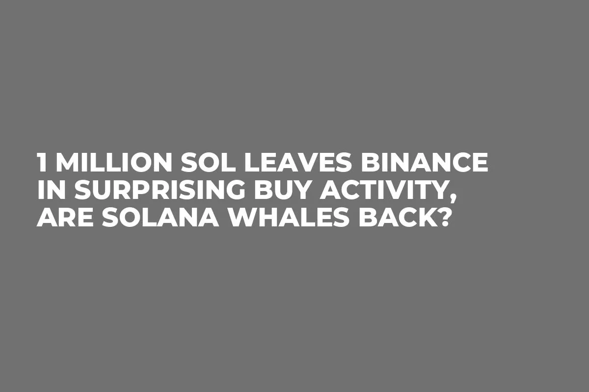 1 Million SOL Leaves Binance in Surprising Buy Activity, Are Solana Whales Back?