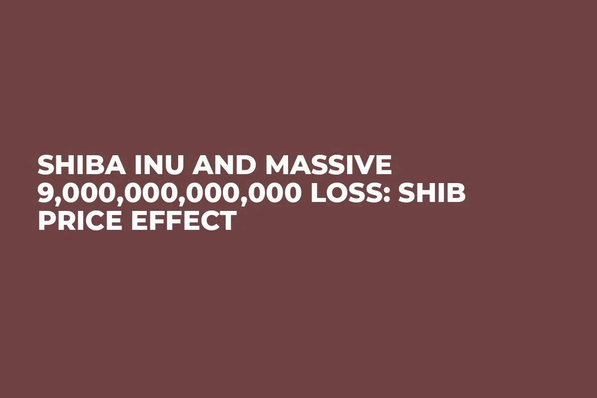 Shiba Inu and Massive 9,000,000,000,000 Loss: SHIB Price Effect
