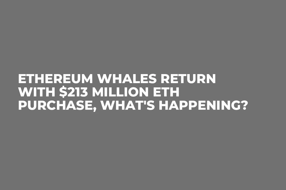 Ethereum Whales Return With $213 million ETH Purchase, What's Happening?