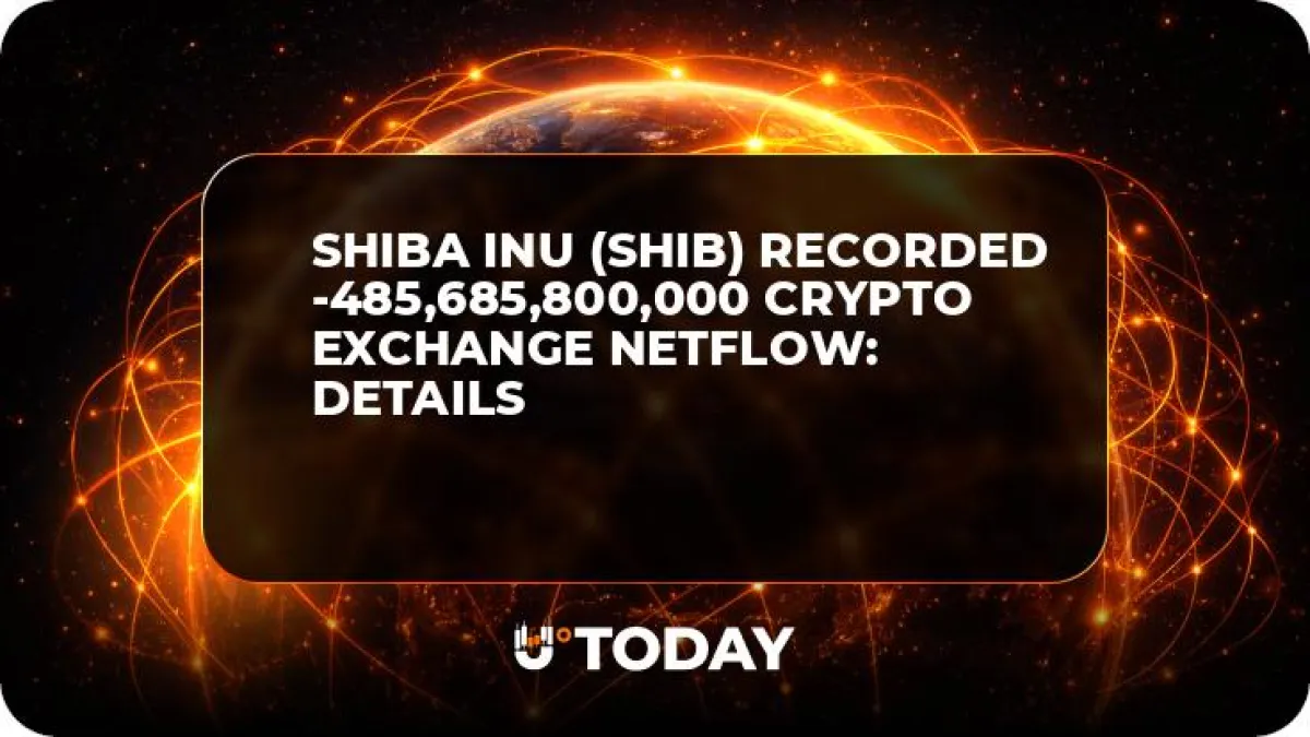 Shiba Inu (SHIB) Recorded -485,685,800,000 Crypto Exchange Netflow: Details