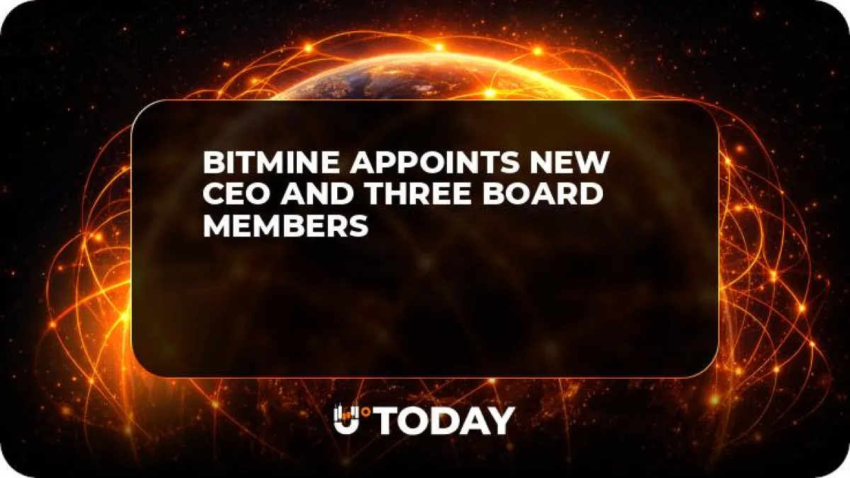 BitMine Appoints New CEO and Three Board Members 