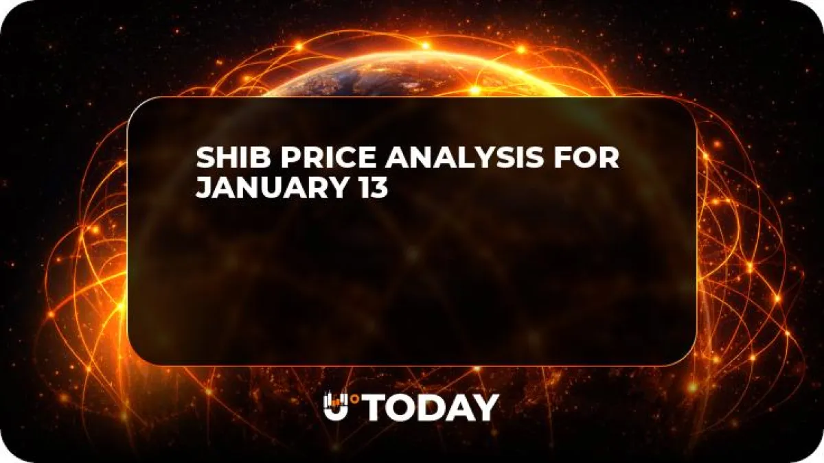 SHIB Price Analysis for January 13