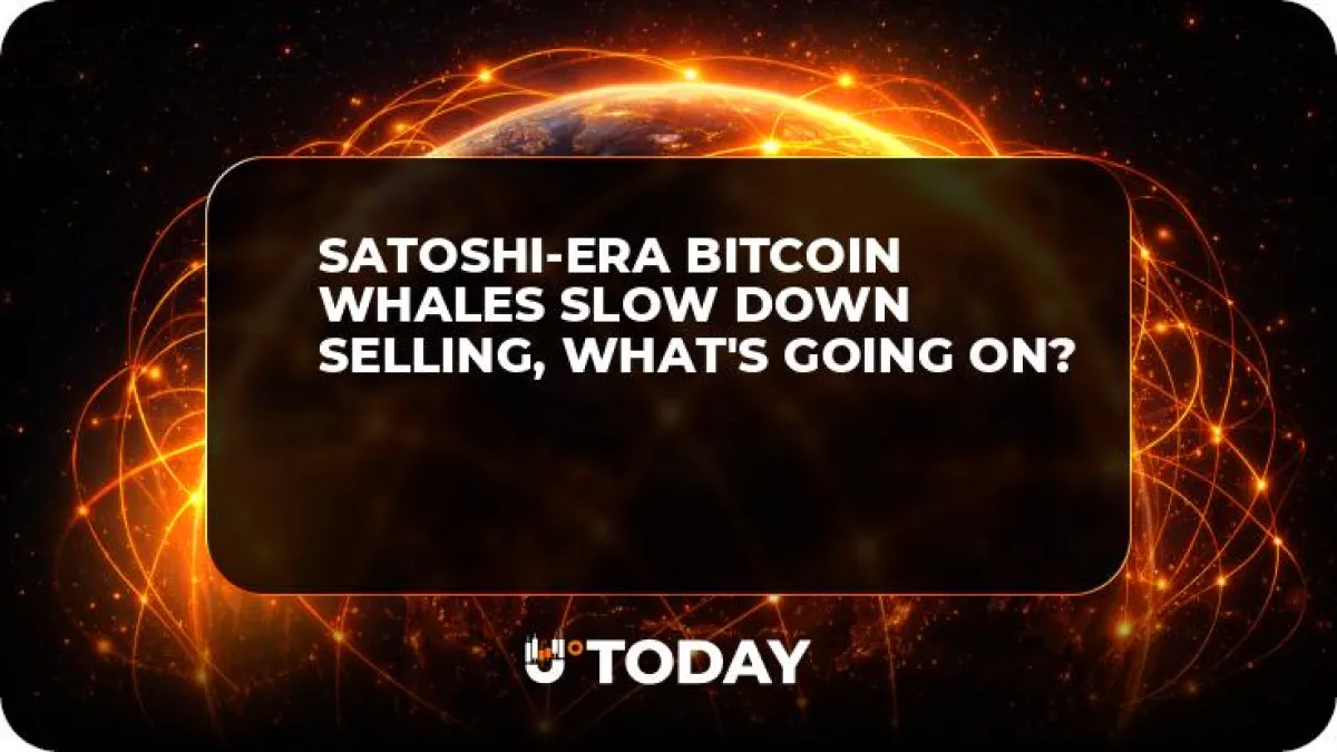 Satoshi-Era Bitcoin Whales Slow Down Selling, What's Going On?