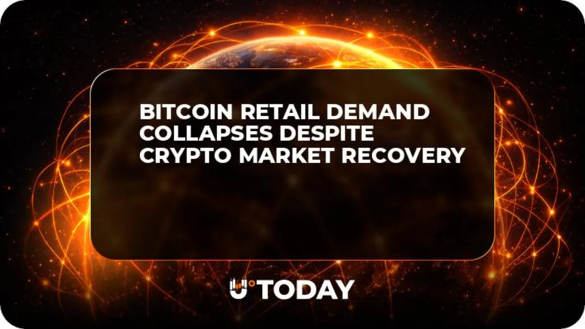 Bitcoin Retail Demand Collapses Despite Crypto Market Recovery