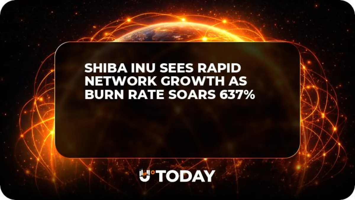 Shiba Inu Sees Rapid Network Growth as Burn Rate Soars 637%