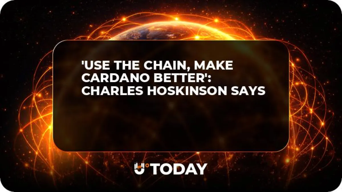'Use the Chain, Make Cardano Better': Charles Hoskinson Says
