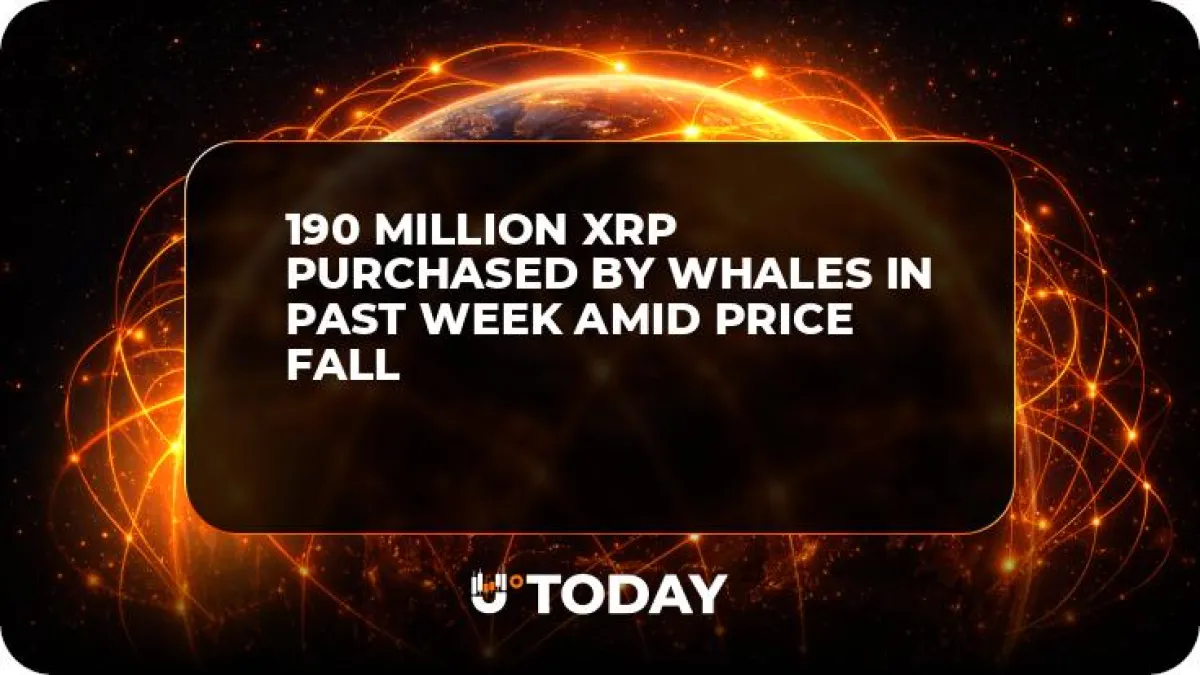 190 Million XRP Purchased by Whales in Past Week Amid Price Fall