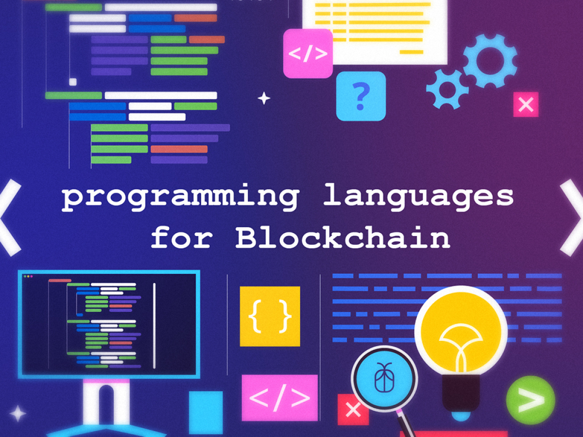 best programming language for crypto wallets