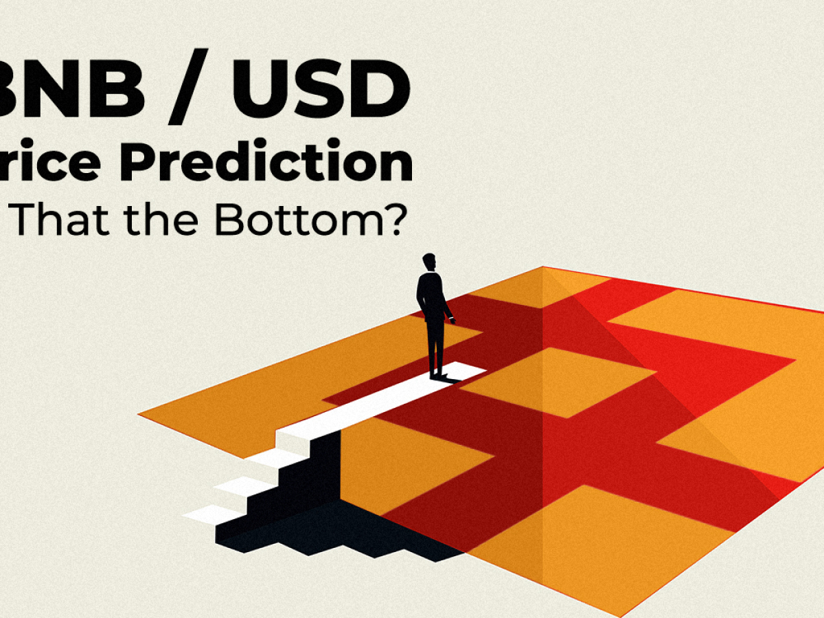 BNB/USD Price Prediction — The Price Plummeted Below $20 ...