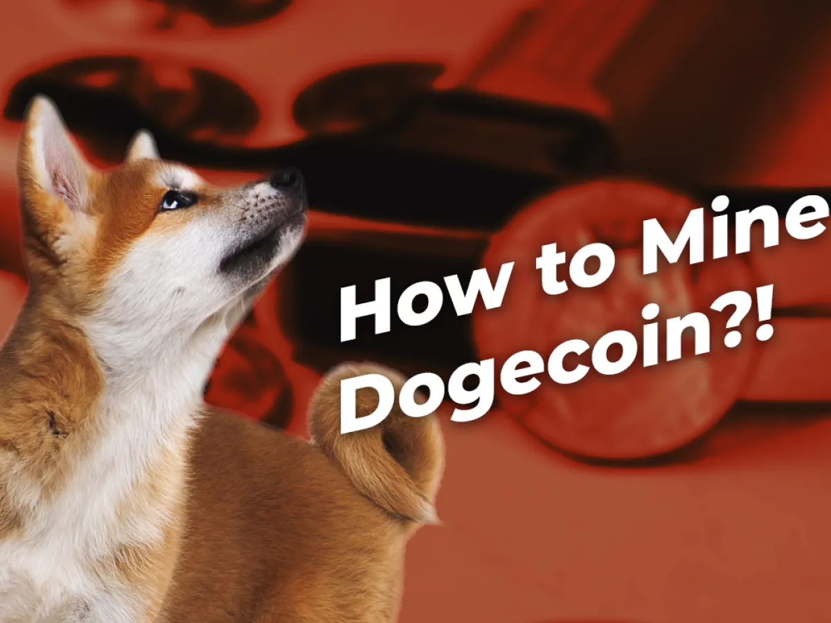 How To Mine Dogecoin Complete Guide For Beginners How To Mine Dogecoin Complete Guide For Beginners