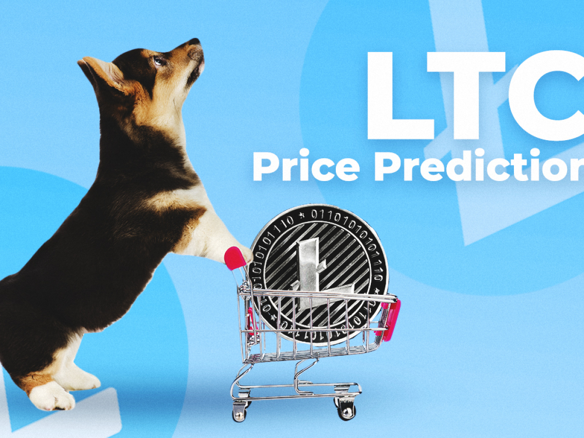 LTC Price Prediction: $150 by Summer. How Will the ...
