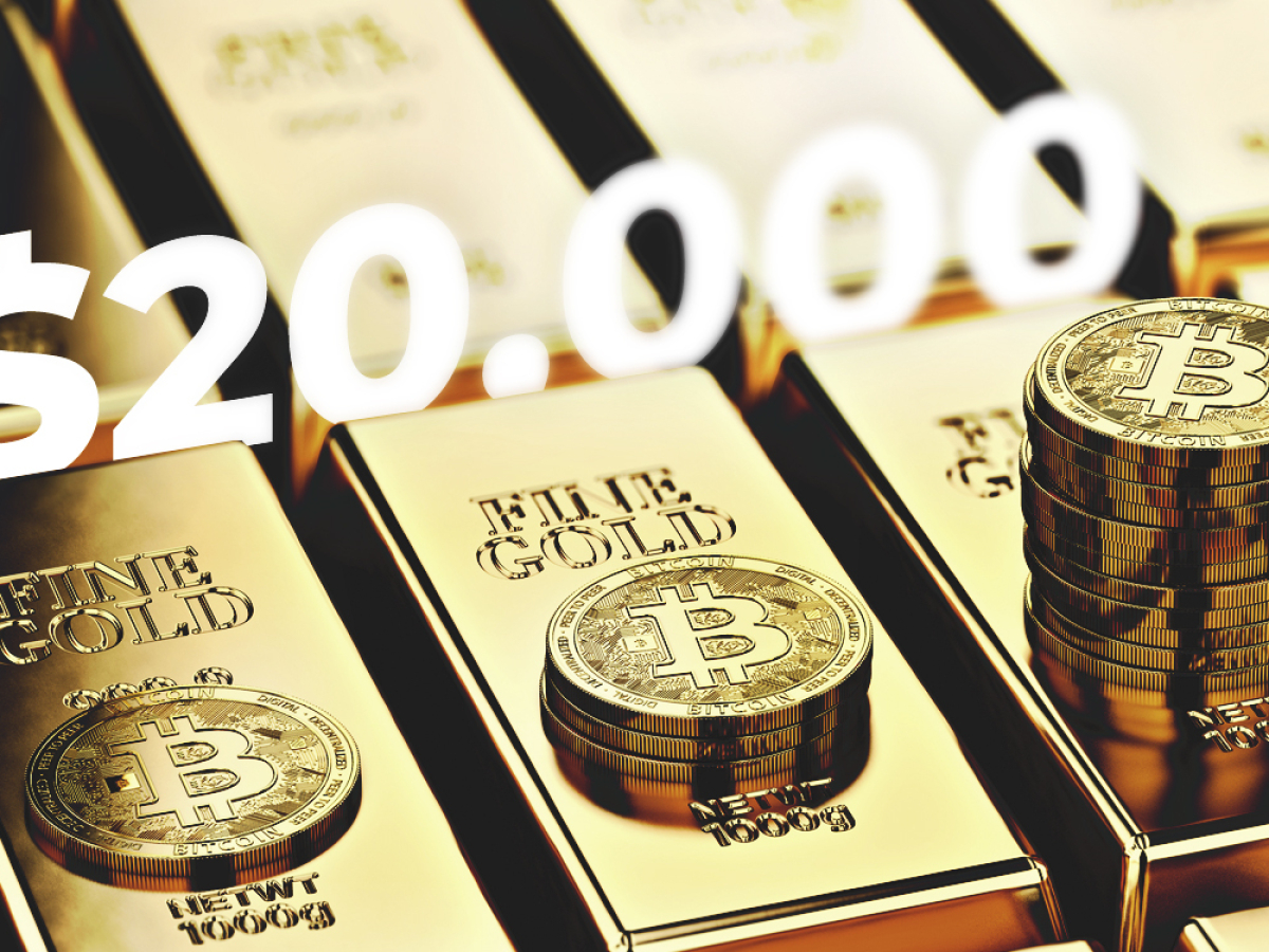 Bitcoin Price Will Surpass $20,000 Within the Next Year if ...