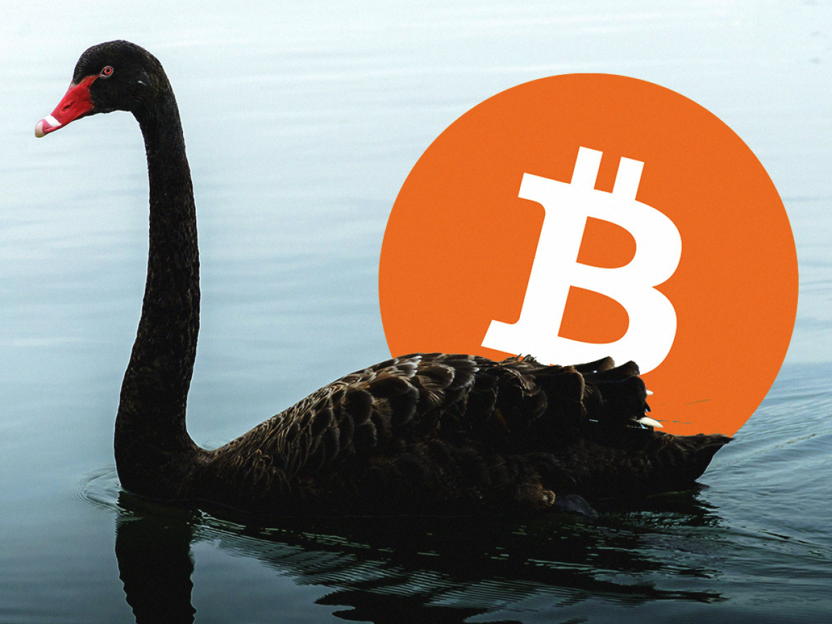 bitcoin black swan