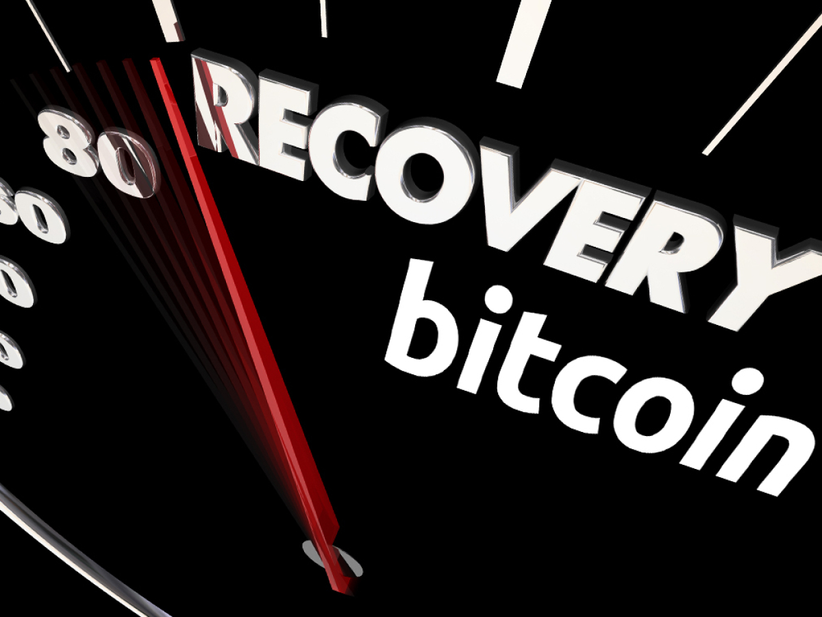 bitcoin-btc-only-asset-that-recovered-from-february-market-collapse