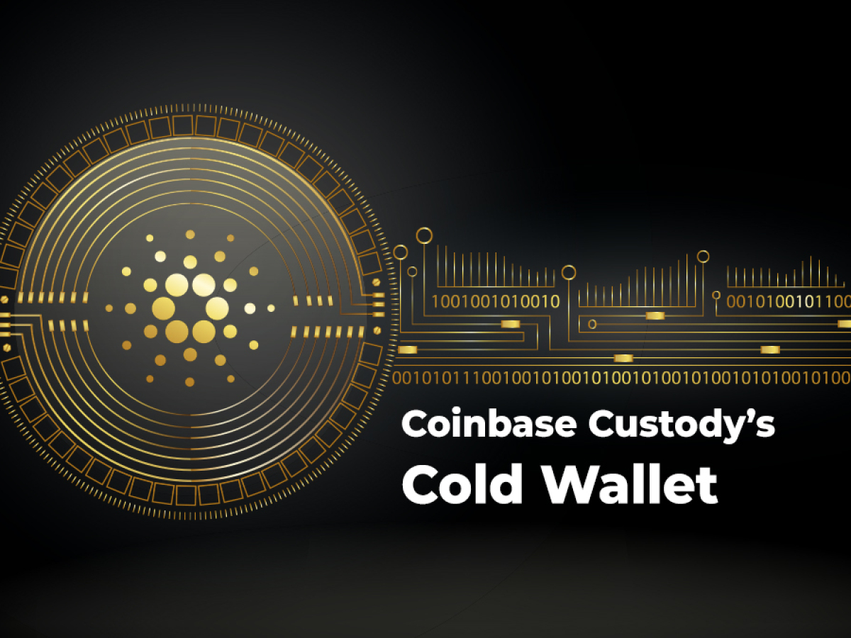 is coinbase a cold wallet