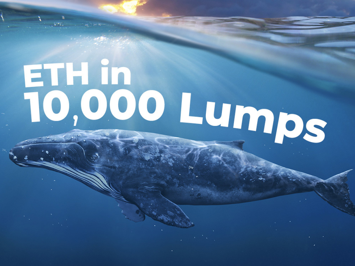 Whales Acquiring ETH in 10,000 Lumps, While Ethereum ...