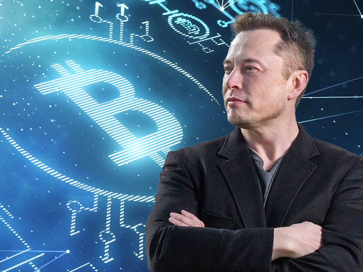 elon musk bitcoin twitter