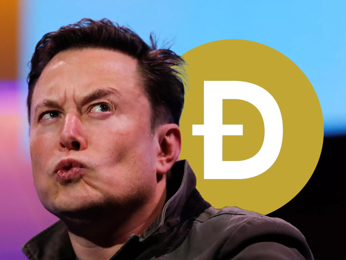Elon Musk's Love Story with Dogecoin (DOGE) Explained by ...
