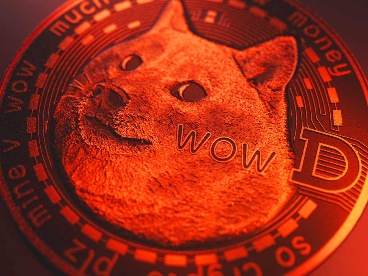 ycopy dogecoin core blockchain to new wallet