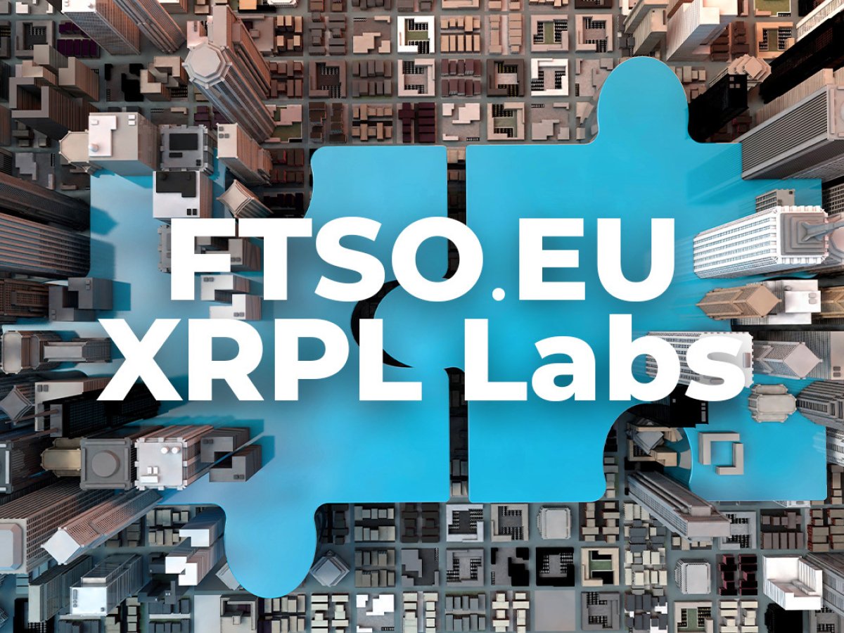 Flare Validators FTSO.EU Join XRPL Labs, Ripple CTO in ...