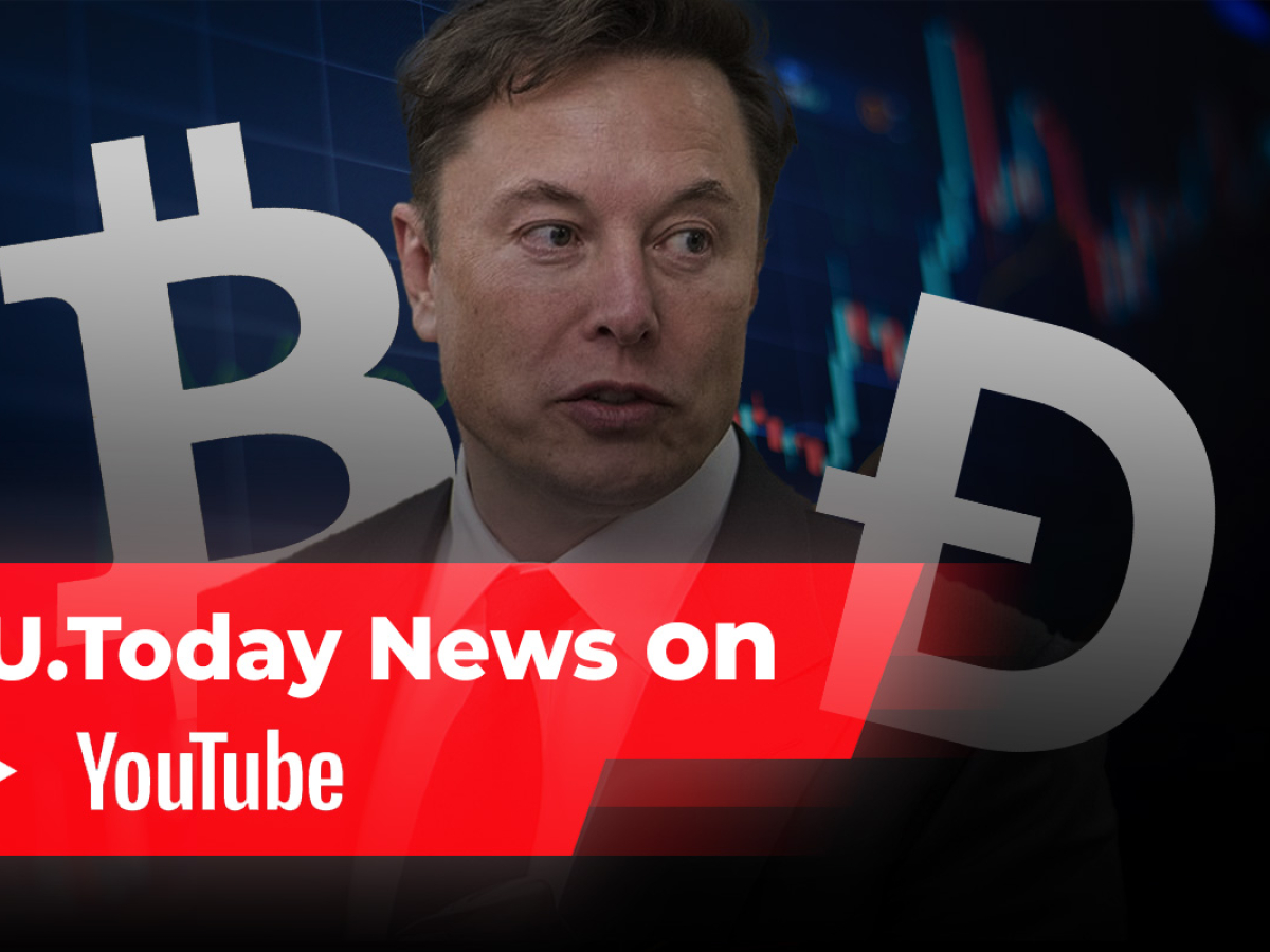 Warum fordert ELON MUSK DOGECOIN?