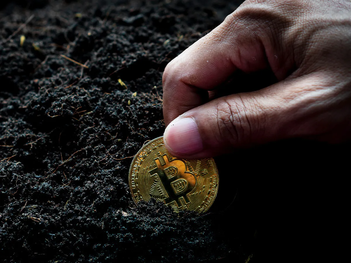 Crypto Is a Tulip Bulb with No Inherent Worth Man Group CEO