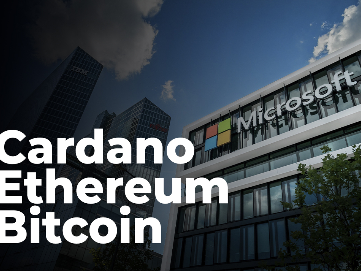 Peter Brandt Suggests That Cardano, Ethereum and Bitcoin Could Follow Microsoft’s Path