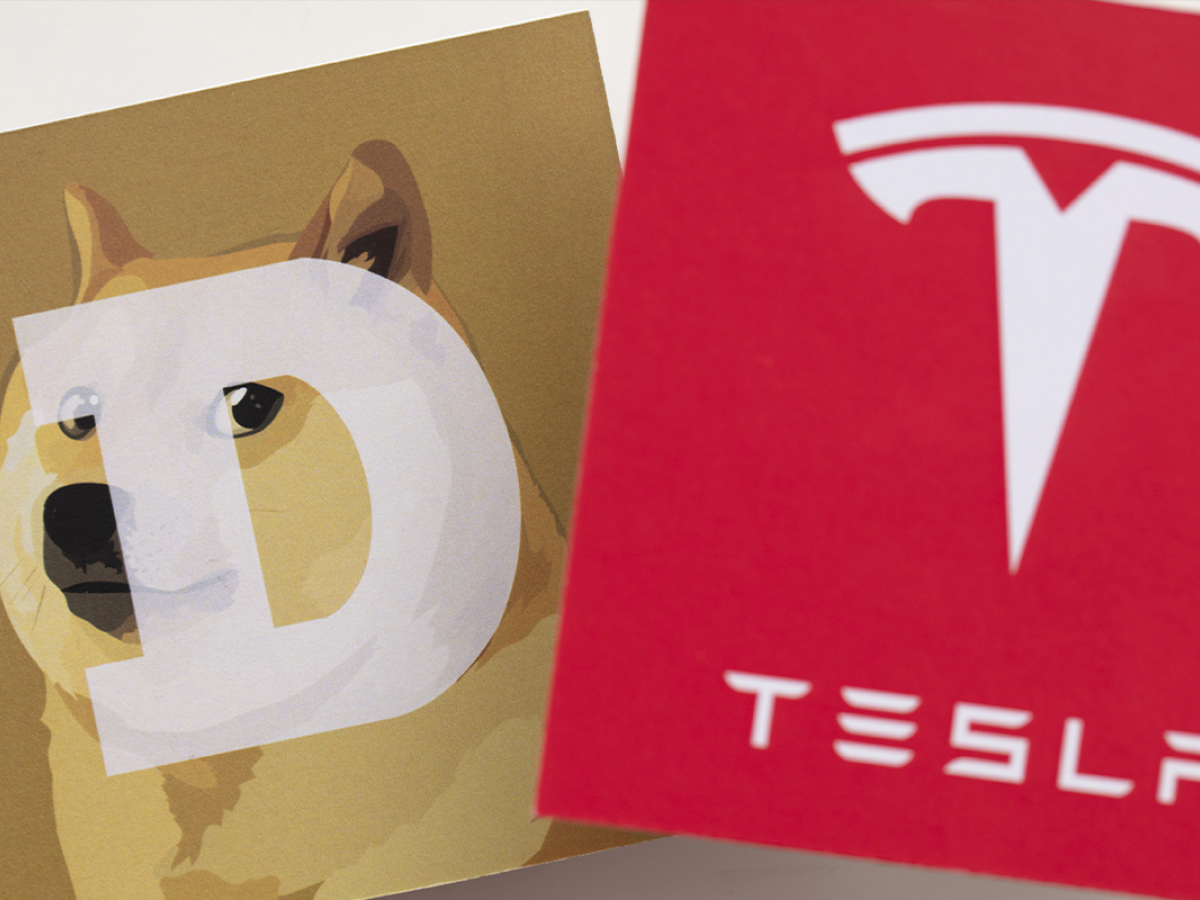 how much dogecoin does tesla own