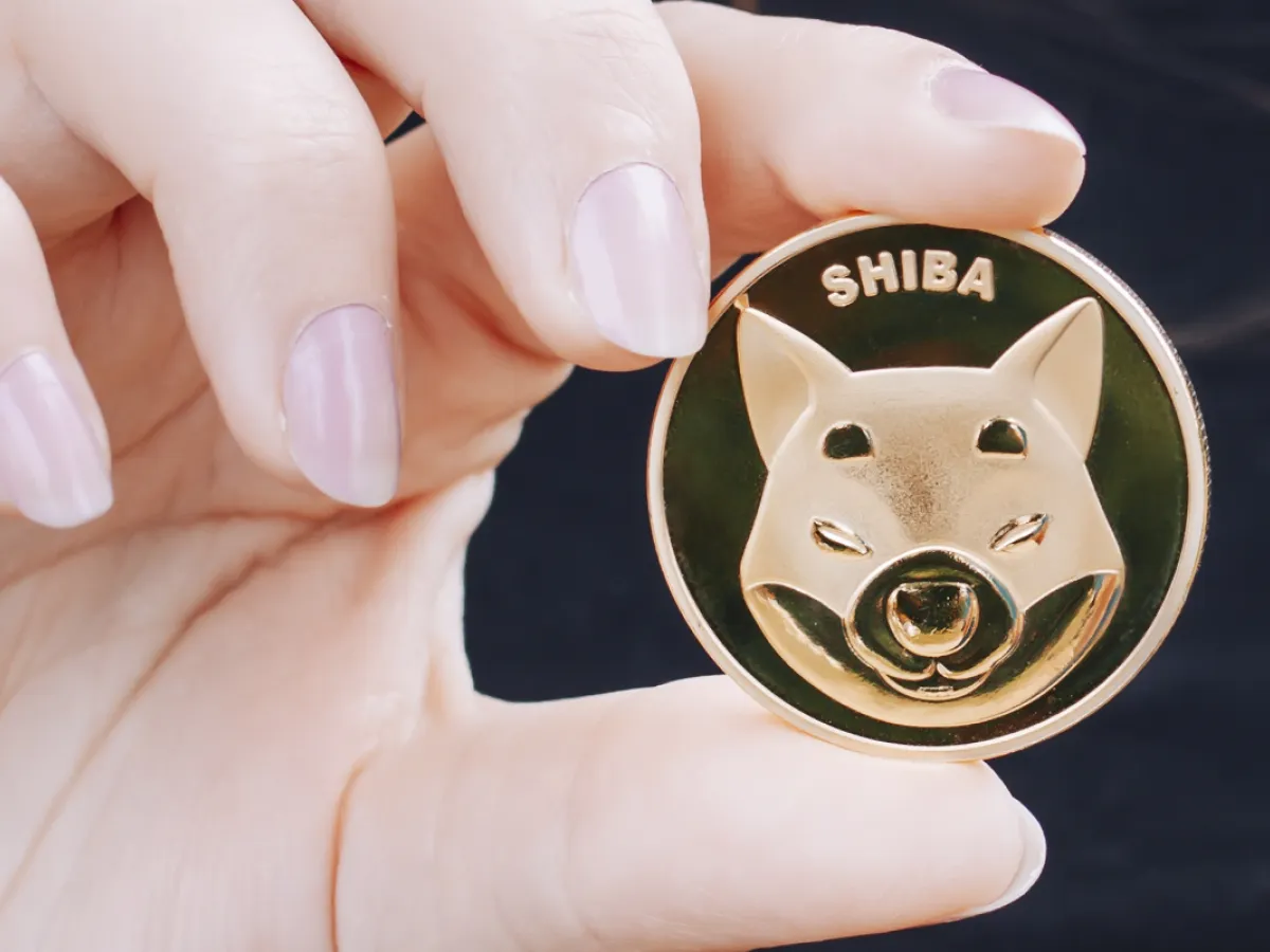 Whale Grabs 74 9 Billion Shib On The Dip After It Dropped 600 Million Of Its Market Cap