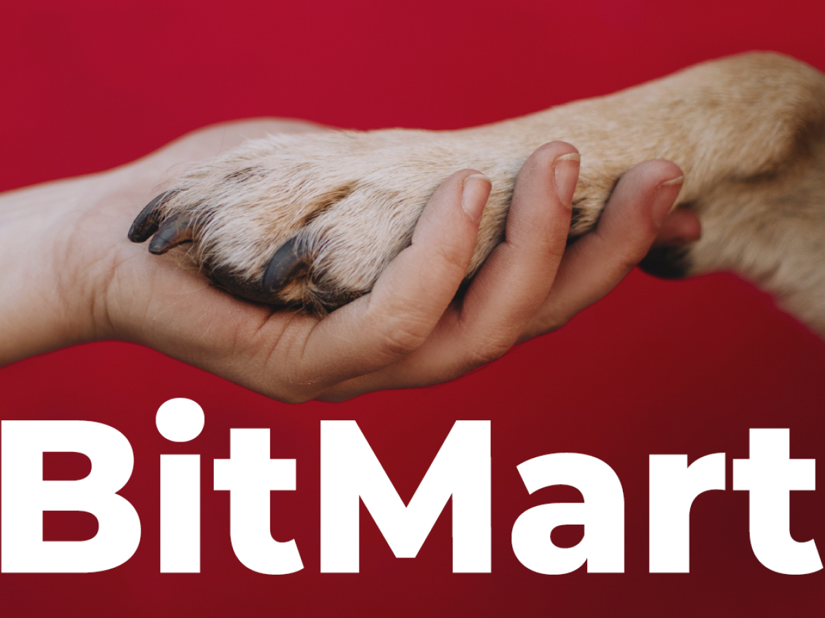 Shiba Inu Community to Give BitMart Helping Hand After Hack - Crypto News