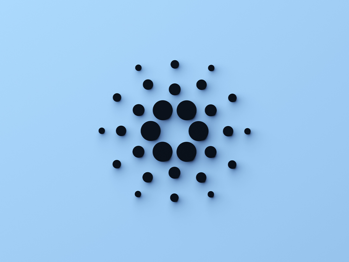 Cardano Sees Slight Increase in Whale Transactions, Is This a Swoop on the Dip?