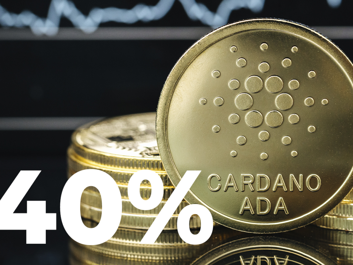 Cardano Millionaire Whales Have Increased Holdings by 40% in January: Details