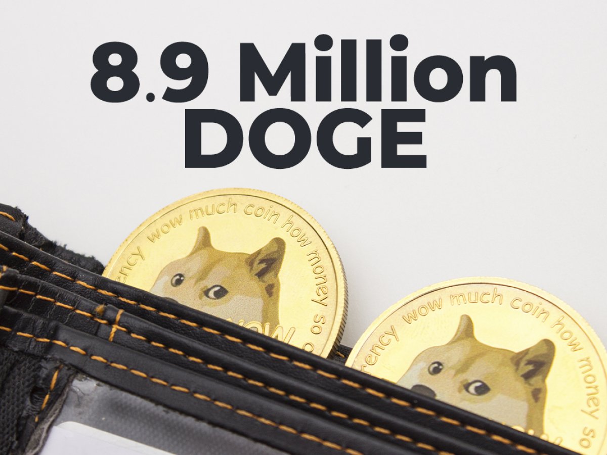 8.9 Million DOGE Bought By Major BNB Whale: Details