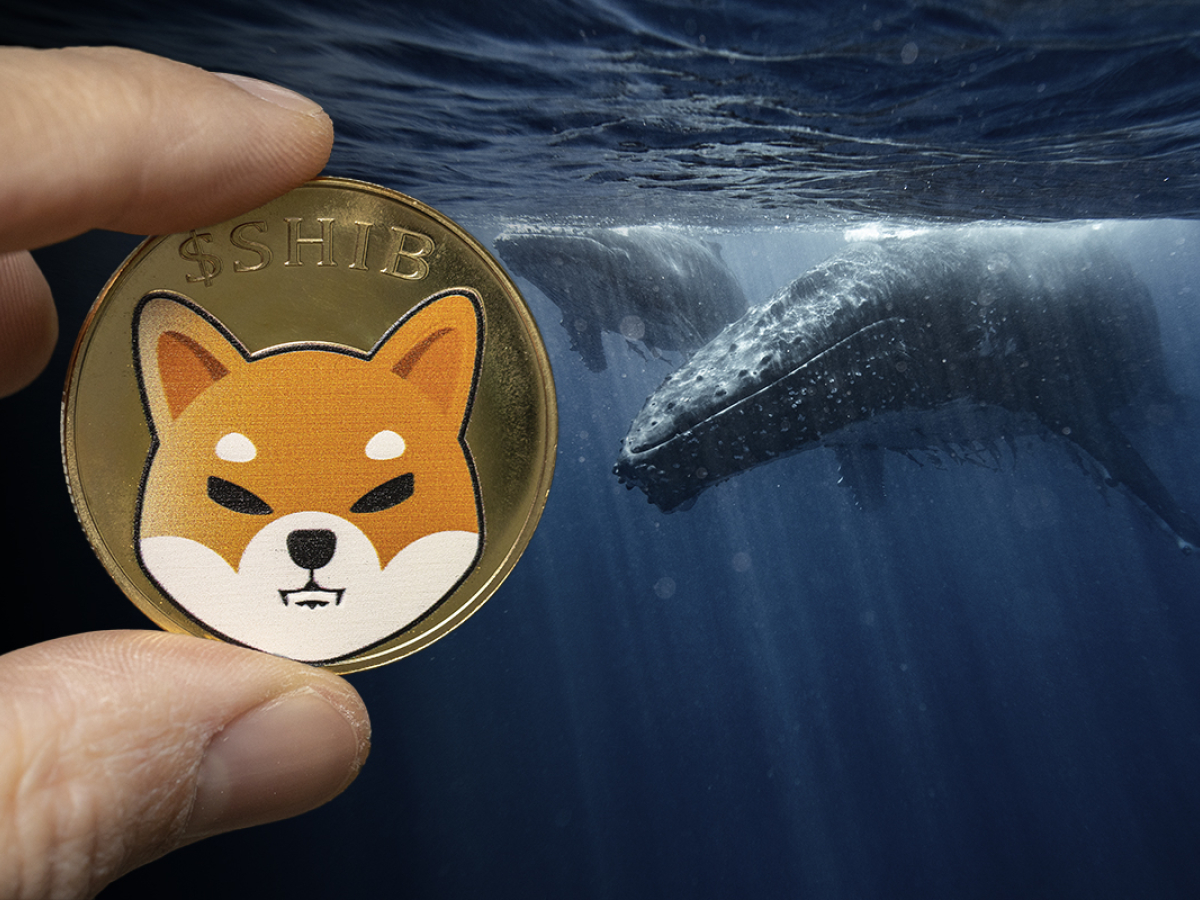 crypto whale buys shiba inu