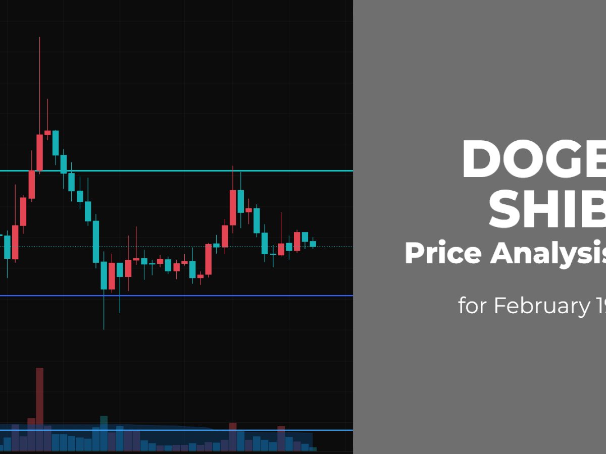 DOGE and SHIB Price Analysis for February 19