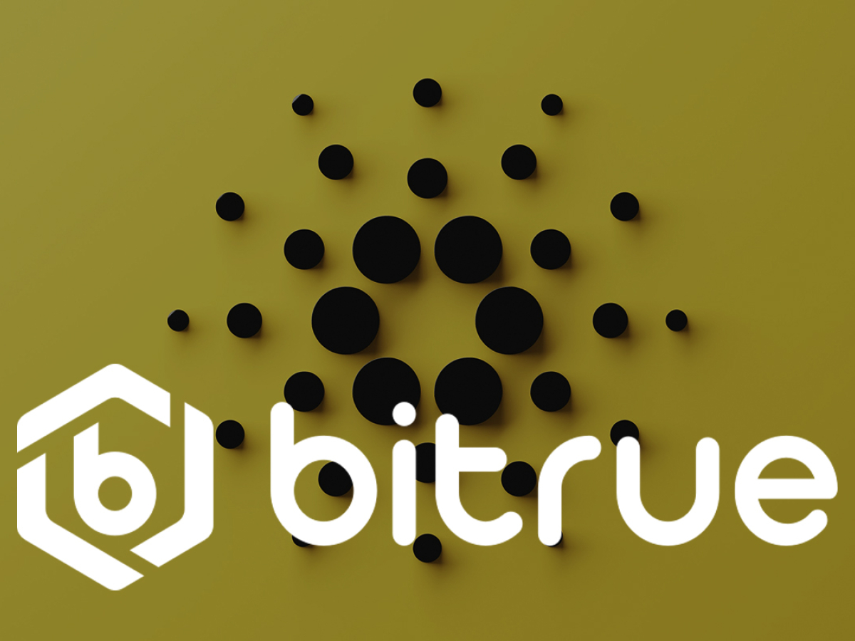 Big Cardano News Is in the Works, Says Bitrue Cryptocurrency Exchange: Details