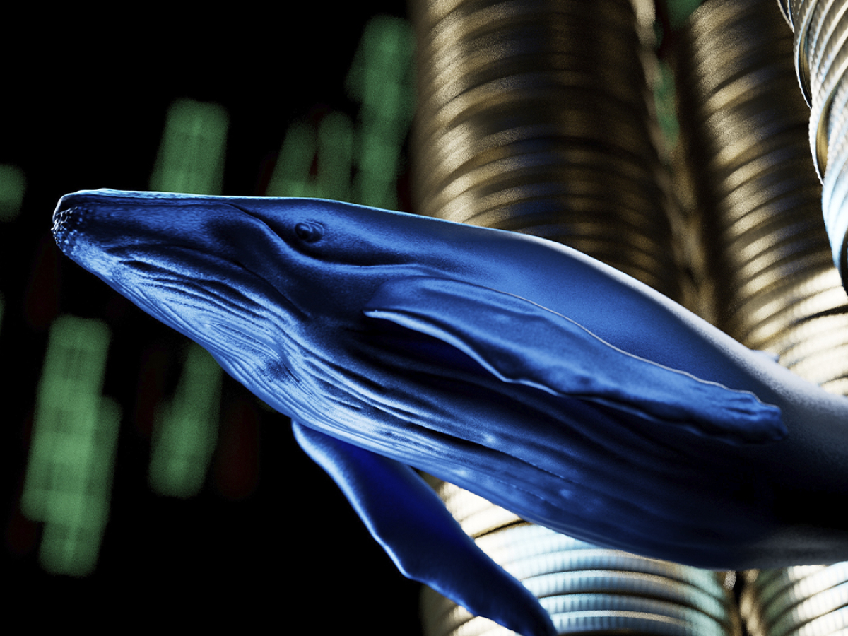 Cardano Whales Become Active as Price Attempts Rebound: Details