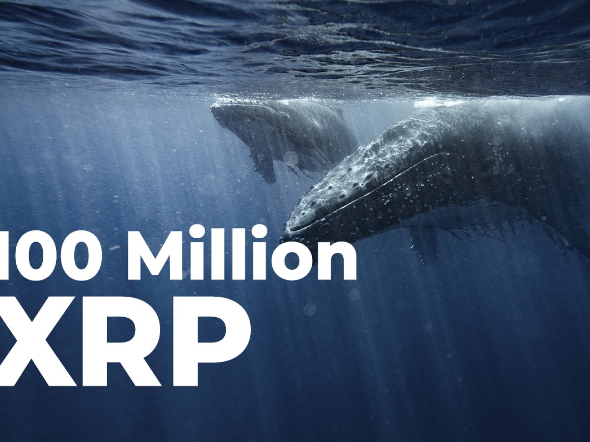 100-million-xrp-purchased-by-whale-as-coin-consolidates