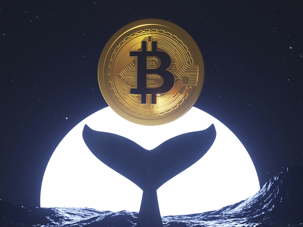 Dormant Bitcoin Whale Awakens After Almost 10 Years