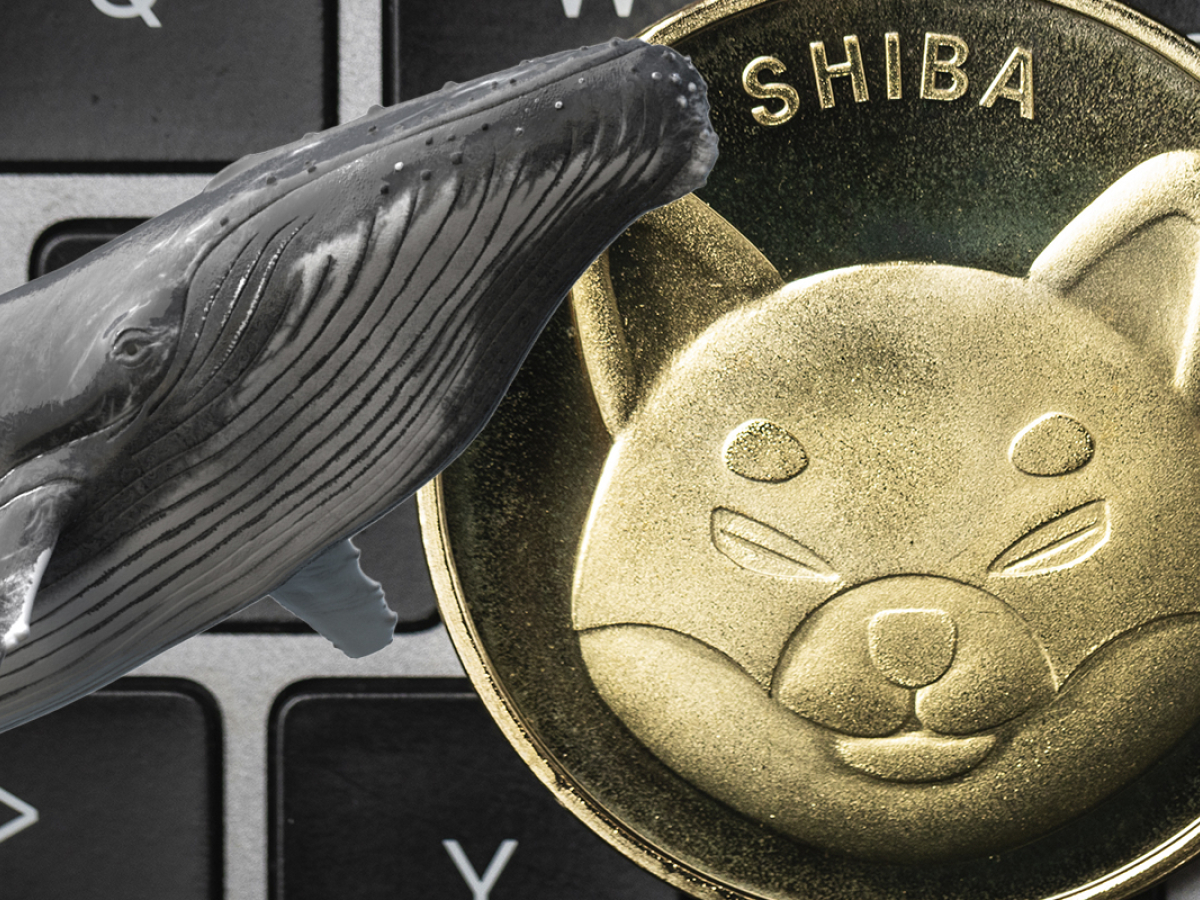 shiba-whale-wallets-with-billions-hounded-by-crypto-detectives