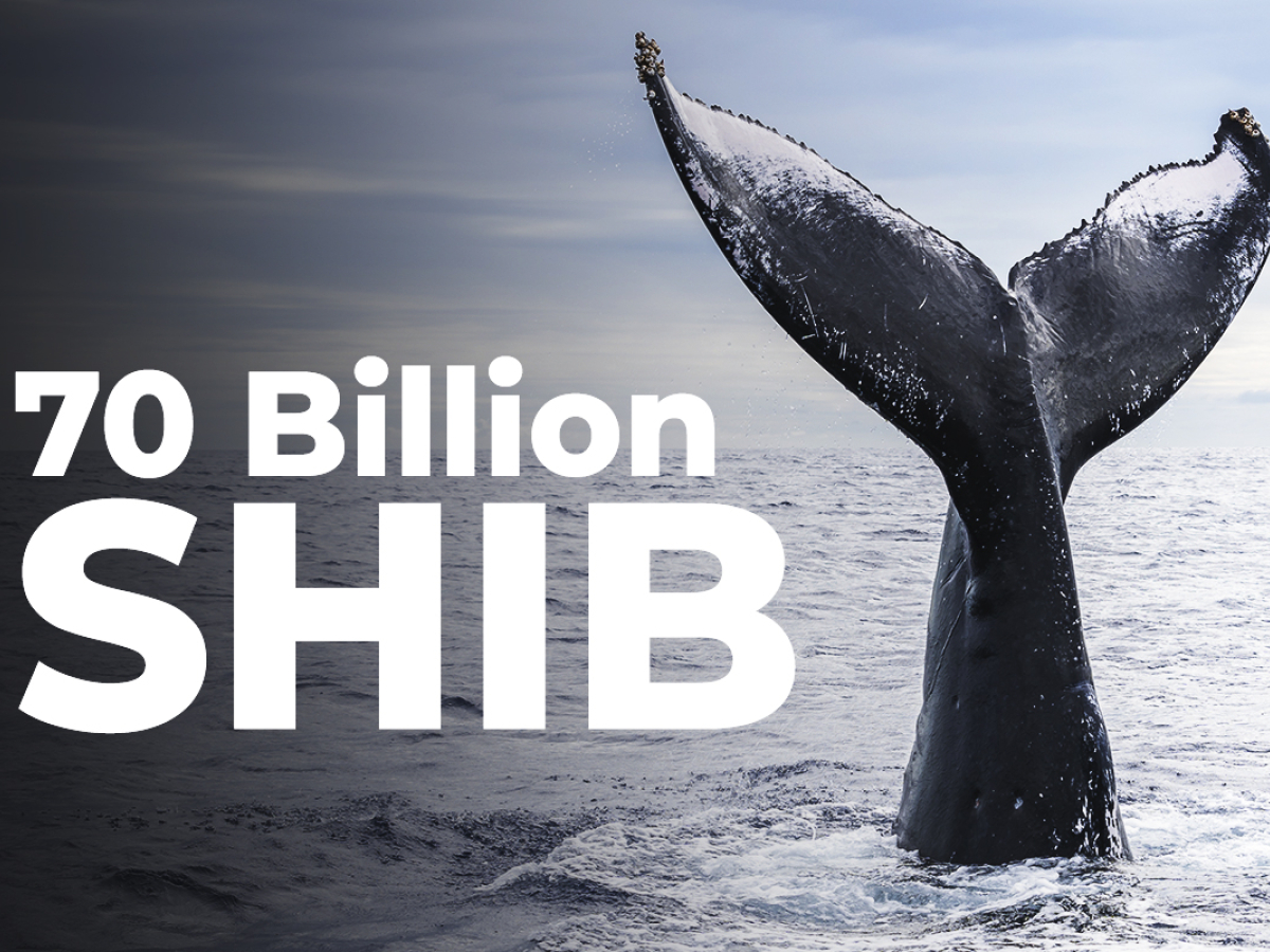 massive-70-billion-shib-purchase-made-by-this-whale