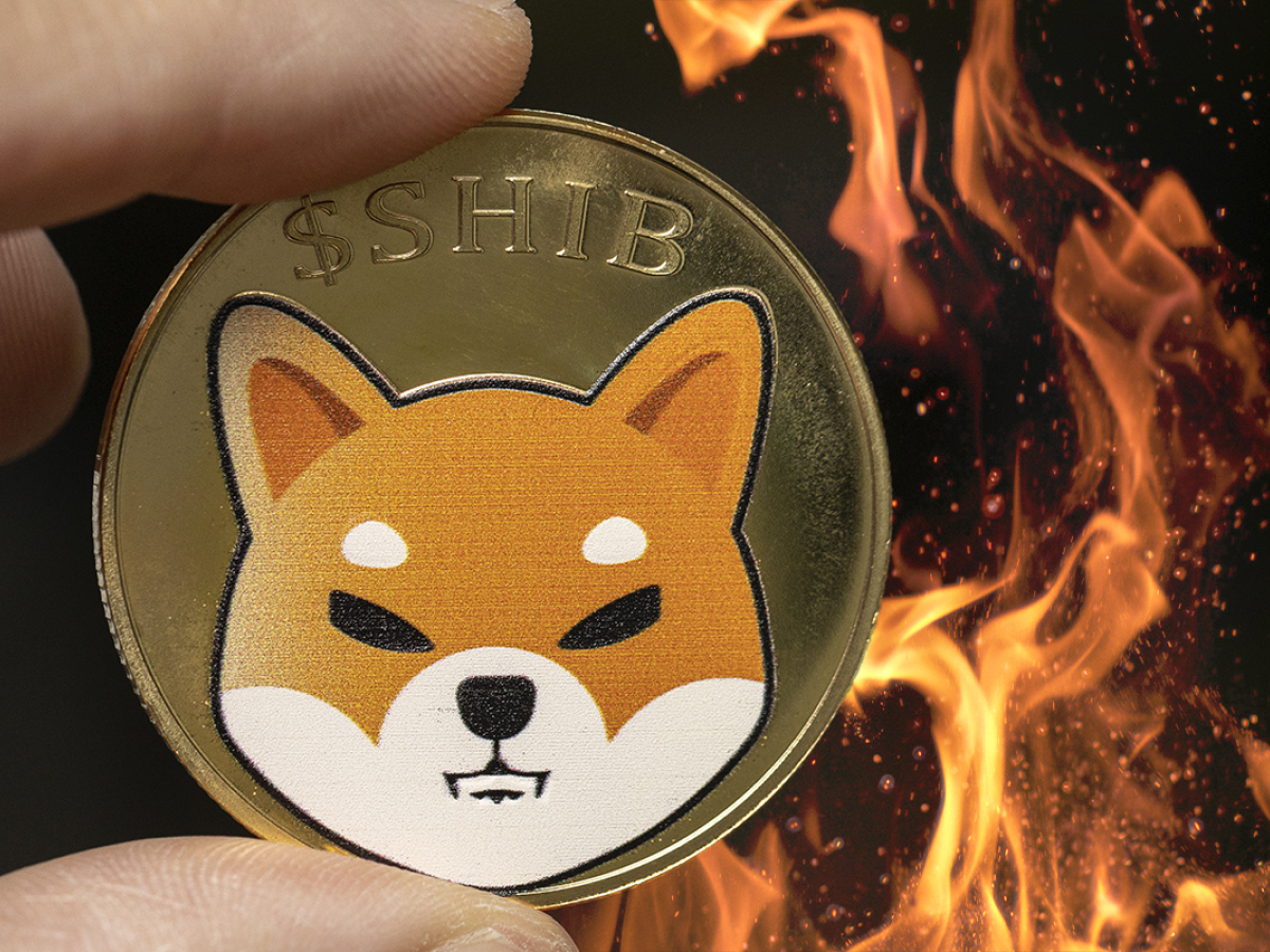 shib-army-burns-1-6-billion-shiba-within-24-hours-as-coin-loses-3