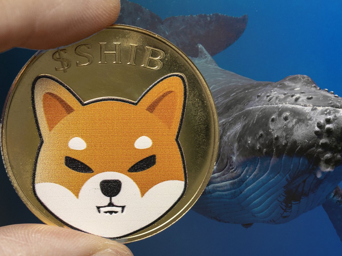 Whales Holding 1.19 Trillion SHIB Buy Trendy Coins, But This Investor Sticks to Shiba