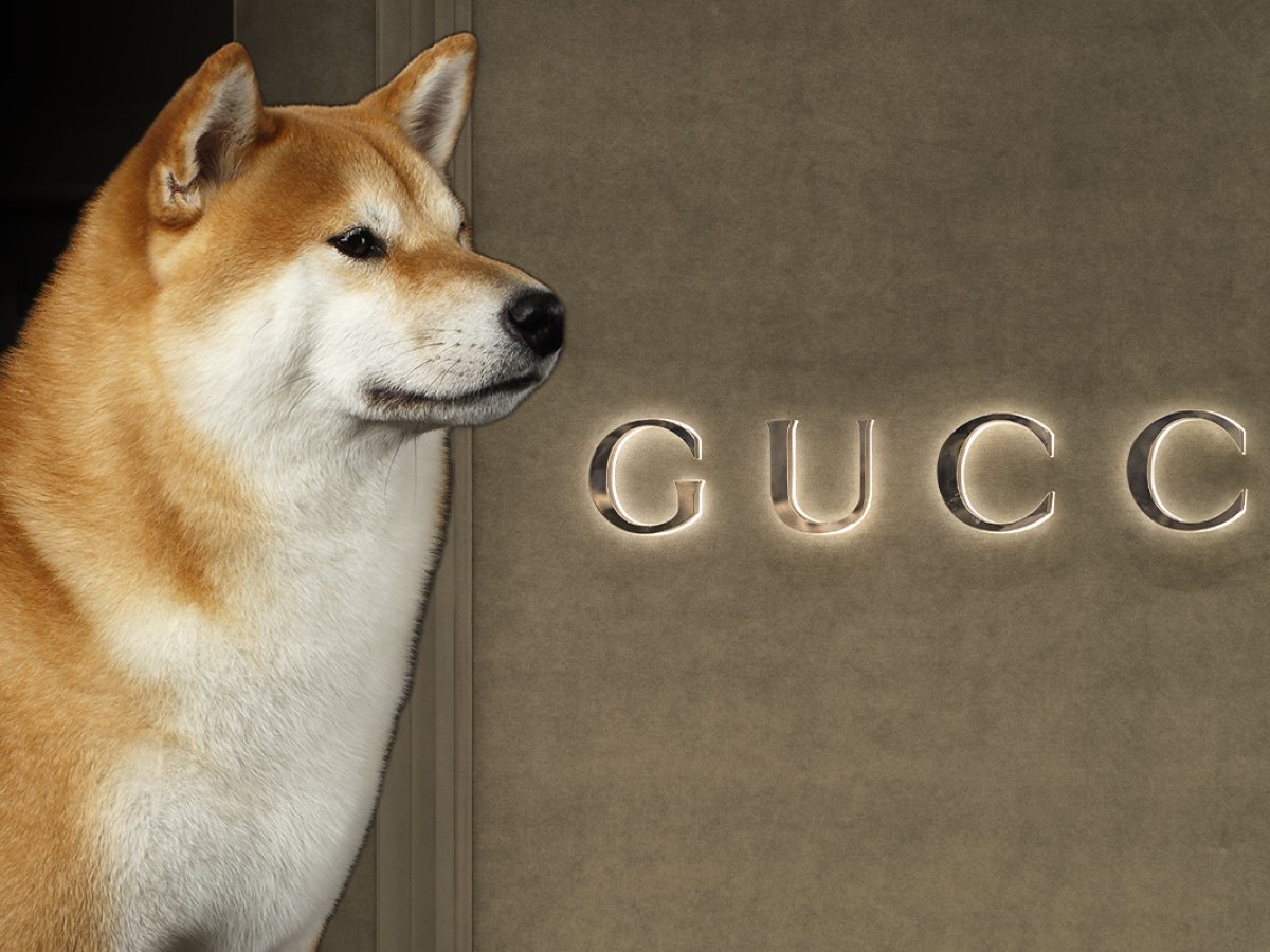 Shiba Inu and Dogecoin Now Accepted by Gucci