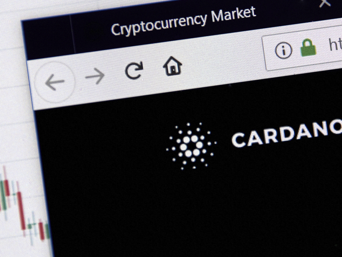 Cardano Reports Massive Spike in Number of Plutus Scripts on Network