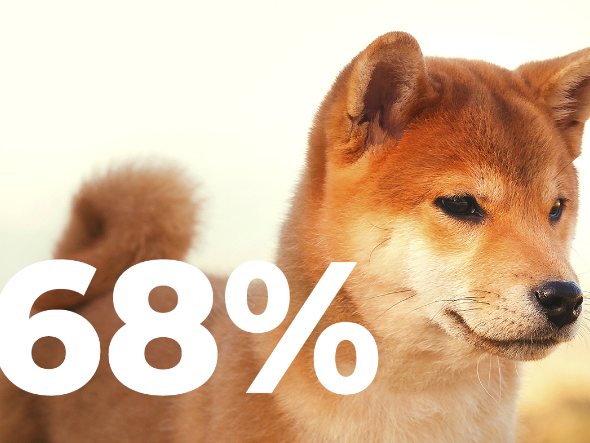 14766 Shiba Inu Returns as One of Most Purchased Tokens as Whale Transactions Spike 68%