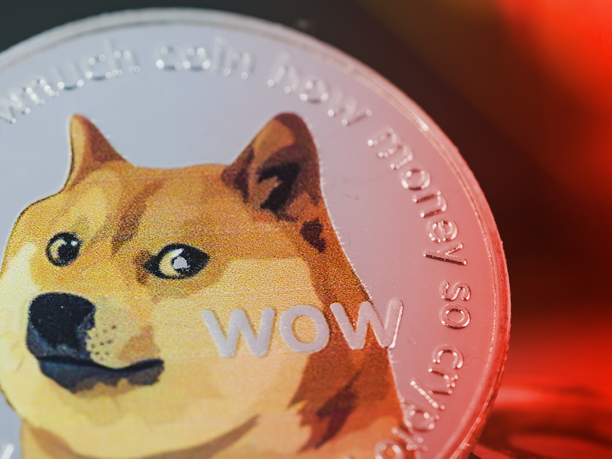 14774 Dogecoin Now Down 90% from Musk-Fueled Price Peak